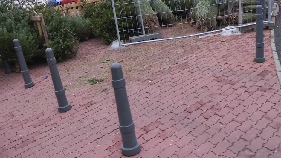 Wendy Moon got picked up in public and fucked