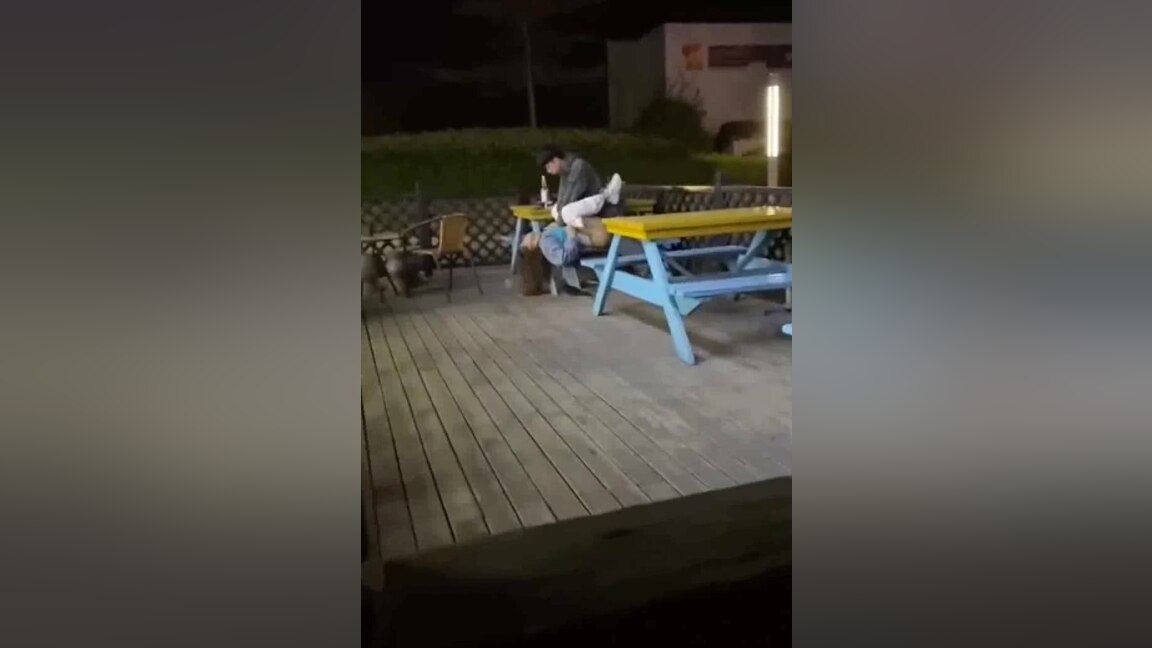 Beautiful young woman with short hair who is both temperamental and gentle gets a fuck.
