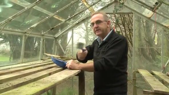 Greenhouse Games Mp4