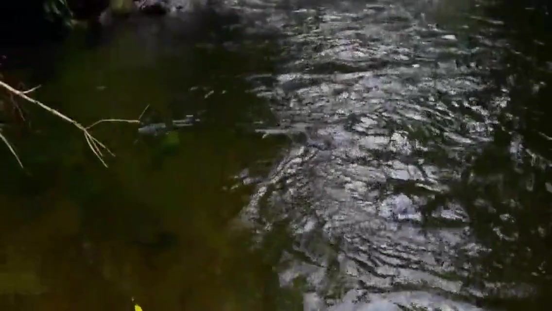 Peladinha Na Cachoeira 3 Min