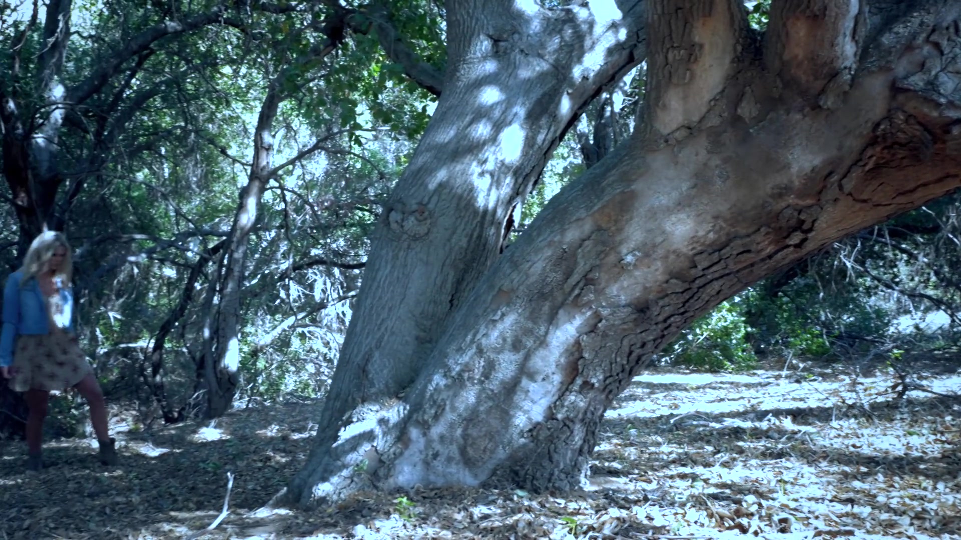 Blade Eden And Scarlet Red In The Wild - Sex Movies Featuring Audrey Hollander