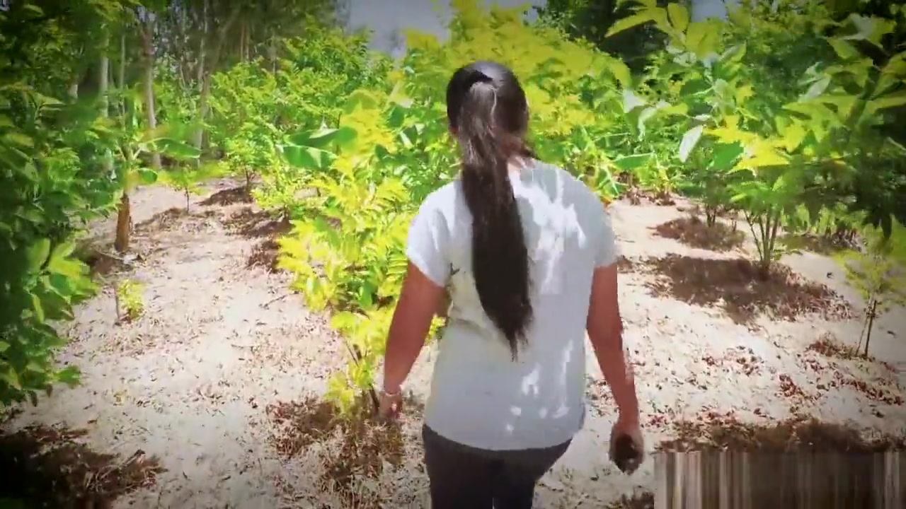 Our First Filmed Outdoor Fuck