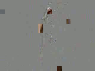 Shower 13