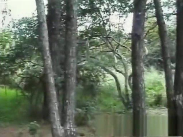 young Tender lady-mans 21 - Scene 2