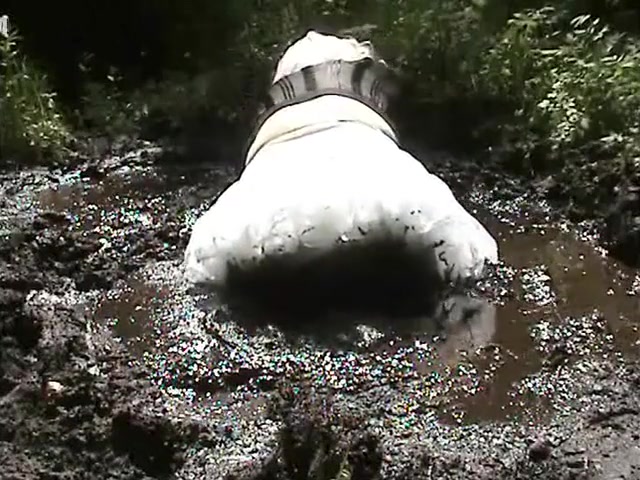Mud Dress 67