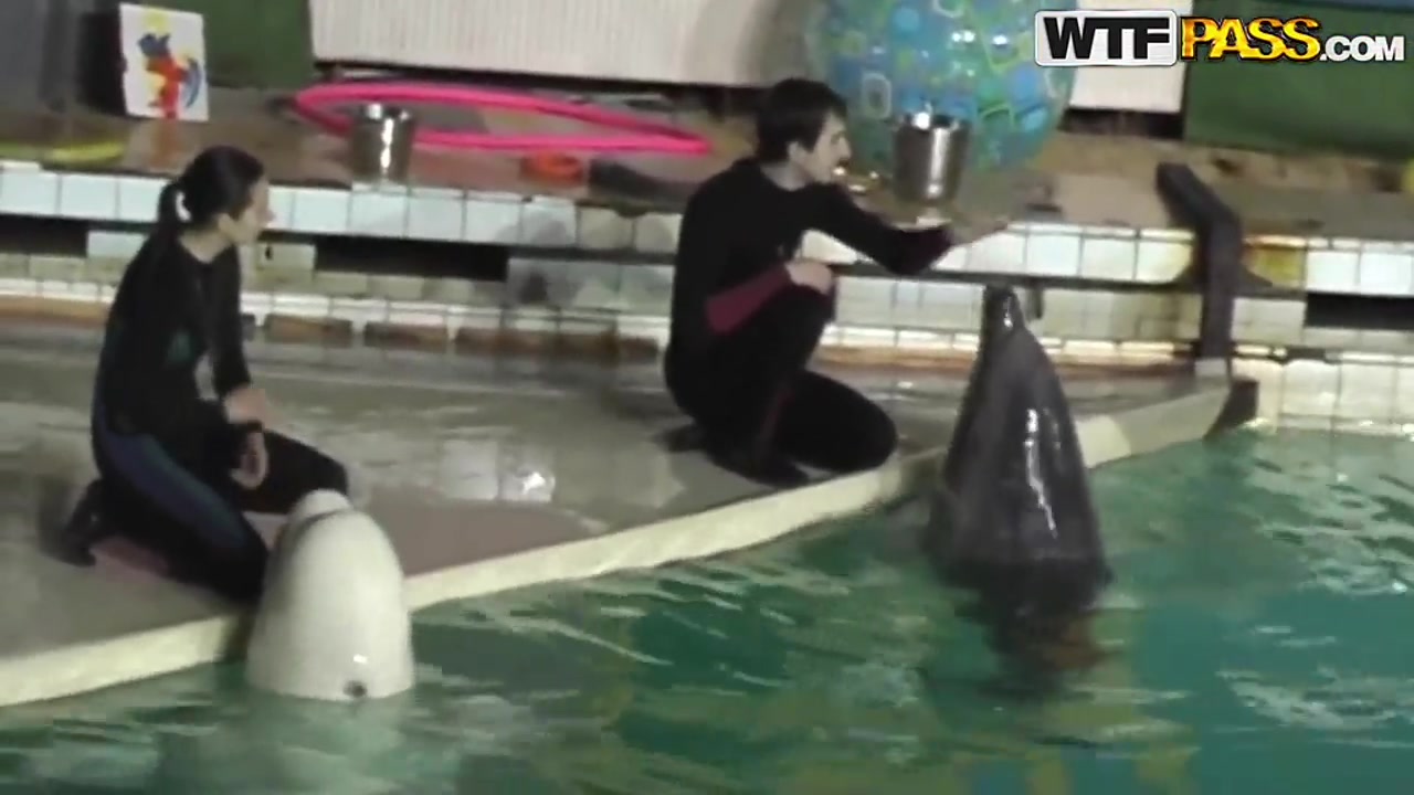 Cute and young brunette babe Natasha is getting seduced by her workmate at dolphinarium for naughty fuck.