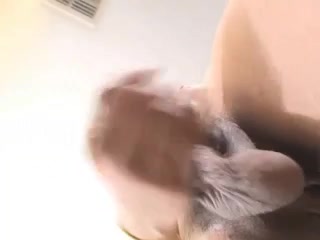 Hot Shemale Britney Banks for You