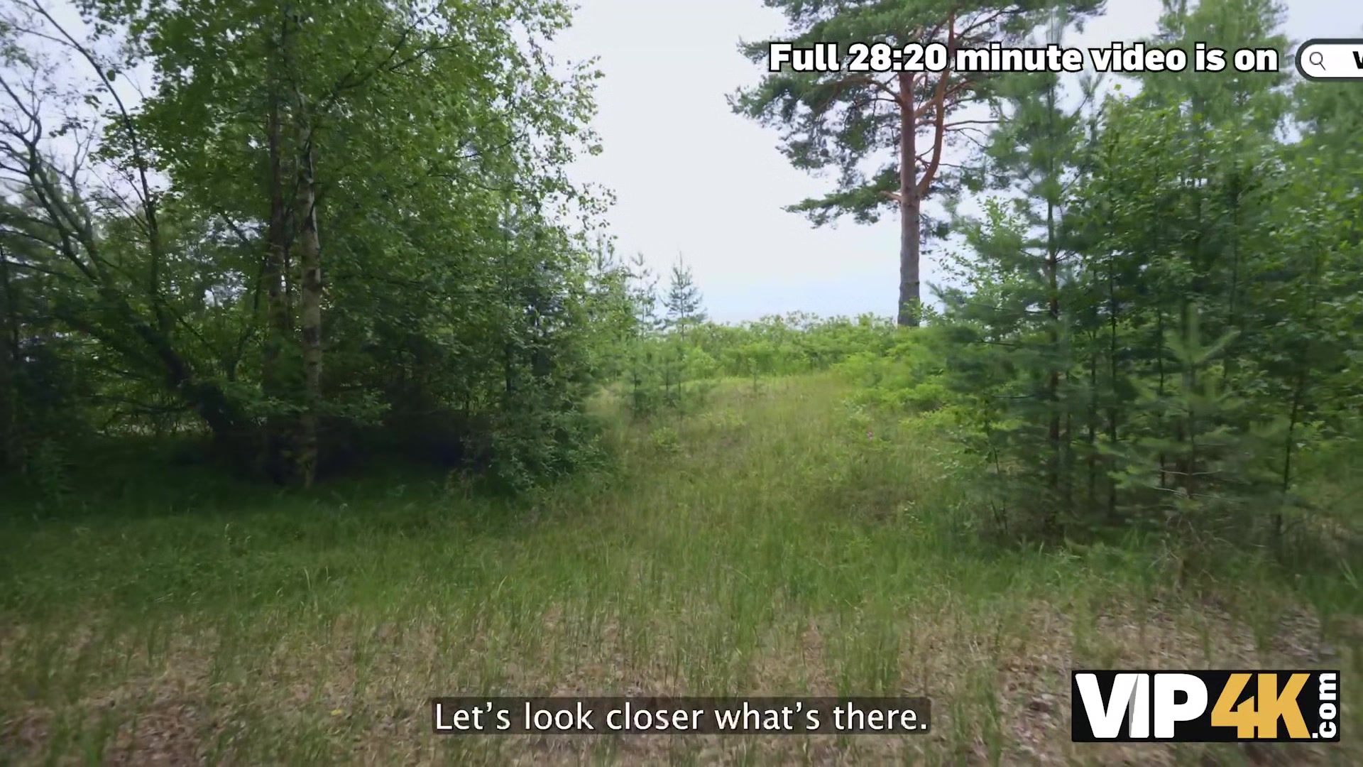 VIP4K. Fresh Flesh in the Woods