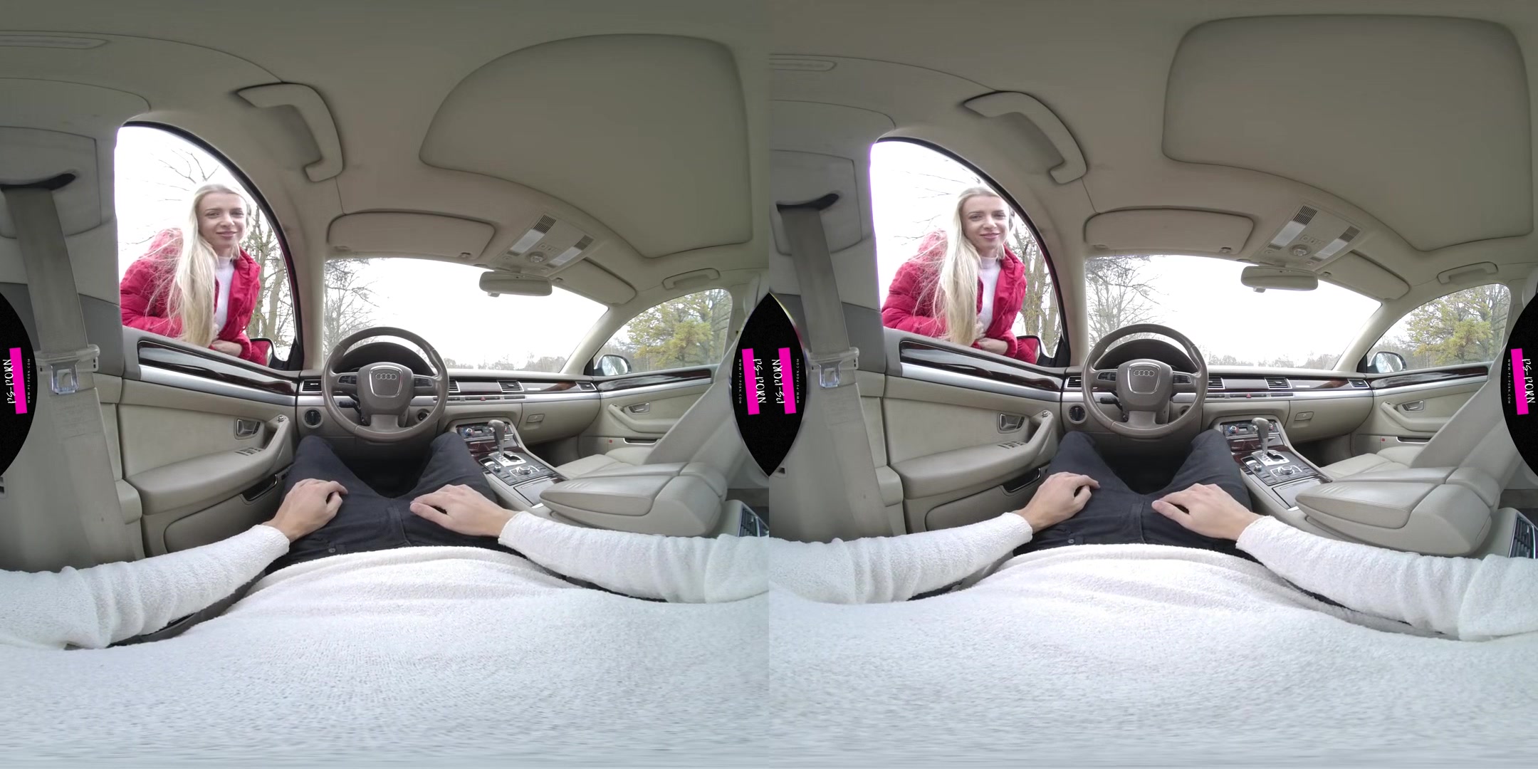Sex In The Car With Adriana