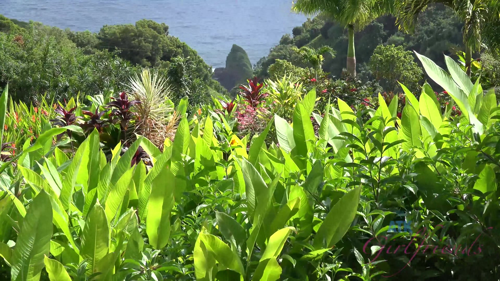 Virtual Vacation In Hawaii With Rococo Royalle Part 5