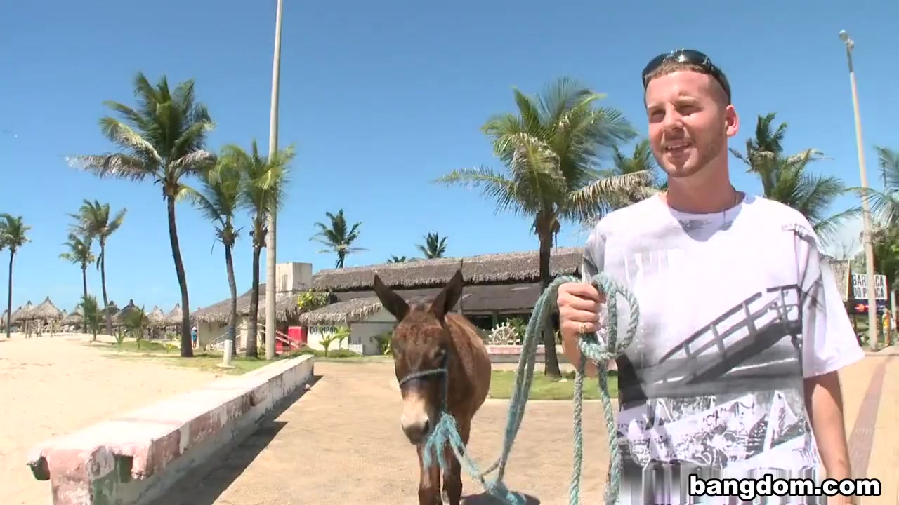 Donkeys & Brazilian Chicks