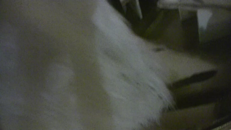 Amateur sex video from student 18+ party