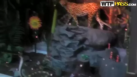 Young couple filming a video for young couples' fucking scenes competition