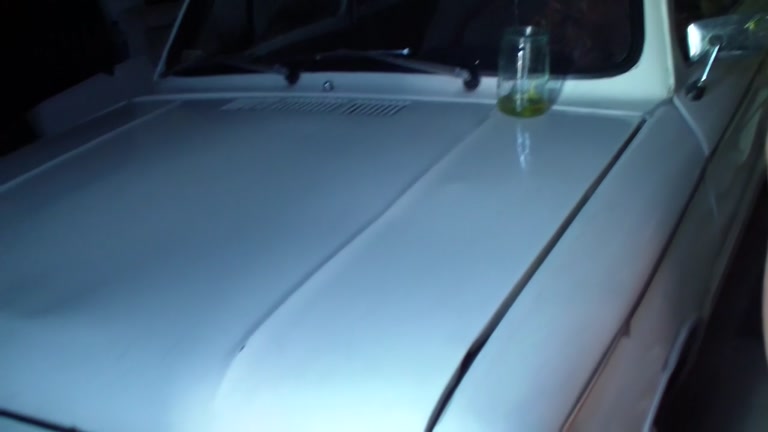 Sexy non-professional girlfriend sex on car boot and pissing