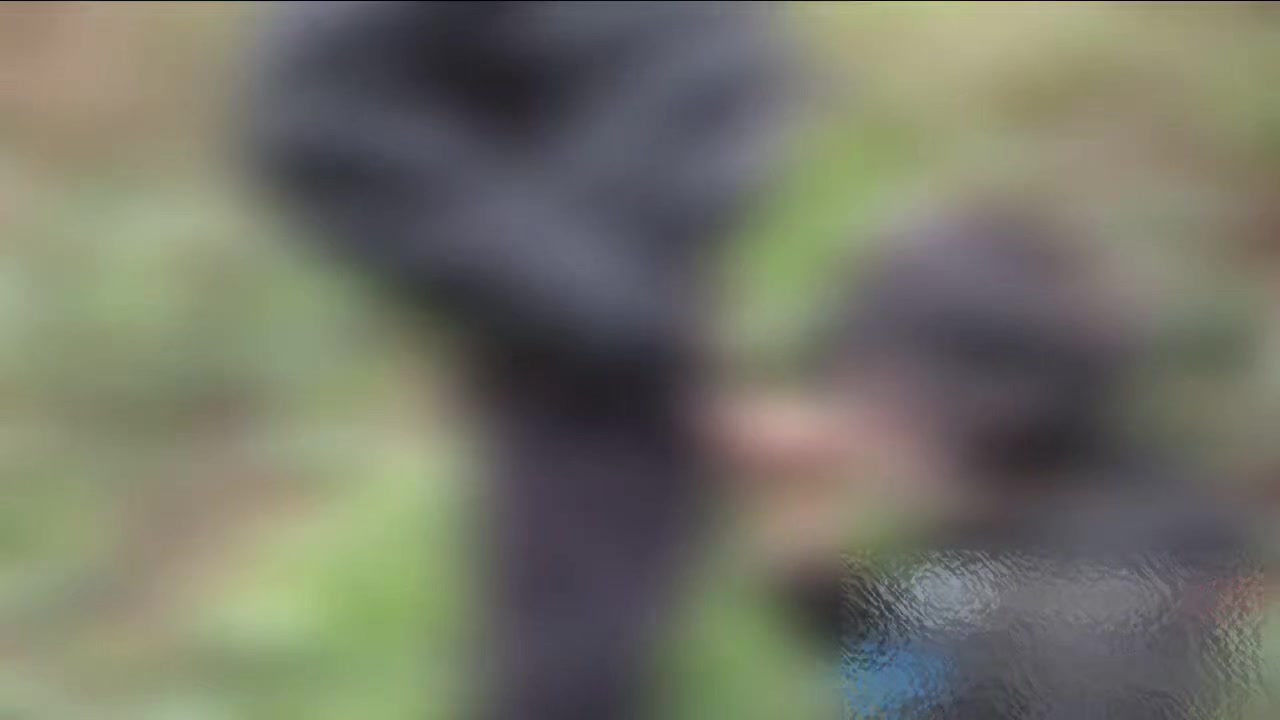 Emo boy sucking scally lad cock