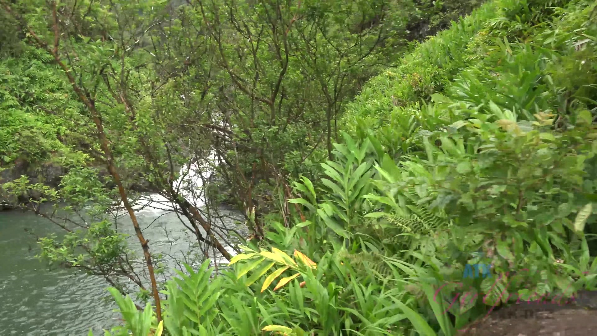 Virtual Vacation In Hawaii With Kristen Scott Part 4
