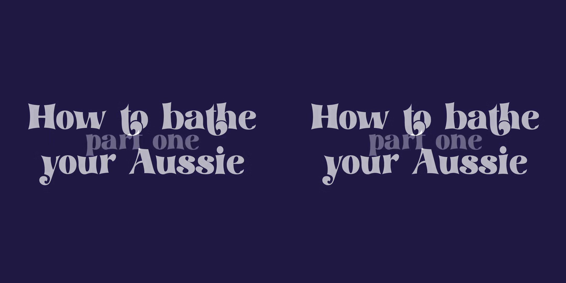 How To Bathe Your Aussie III; Big Tits Amateur Fucked in the Hot Tub