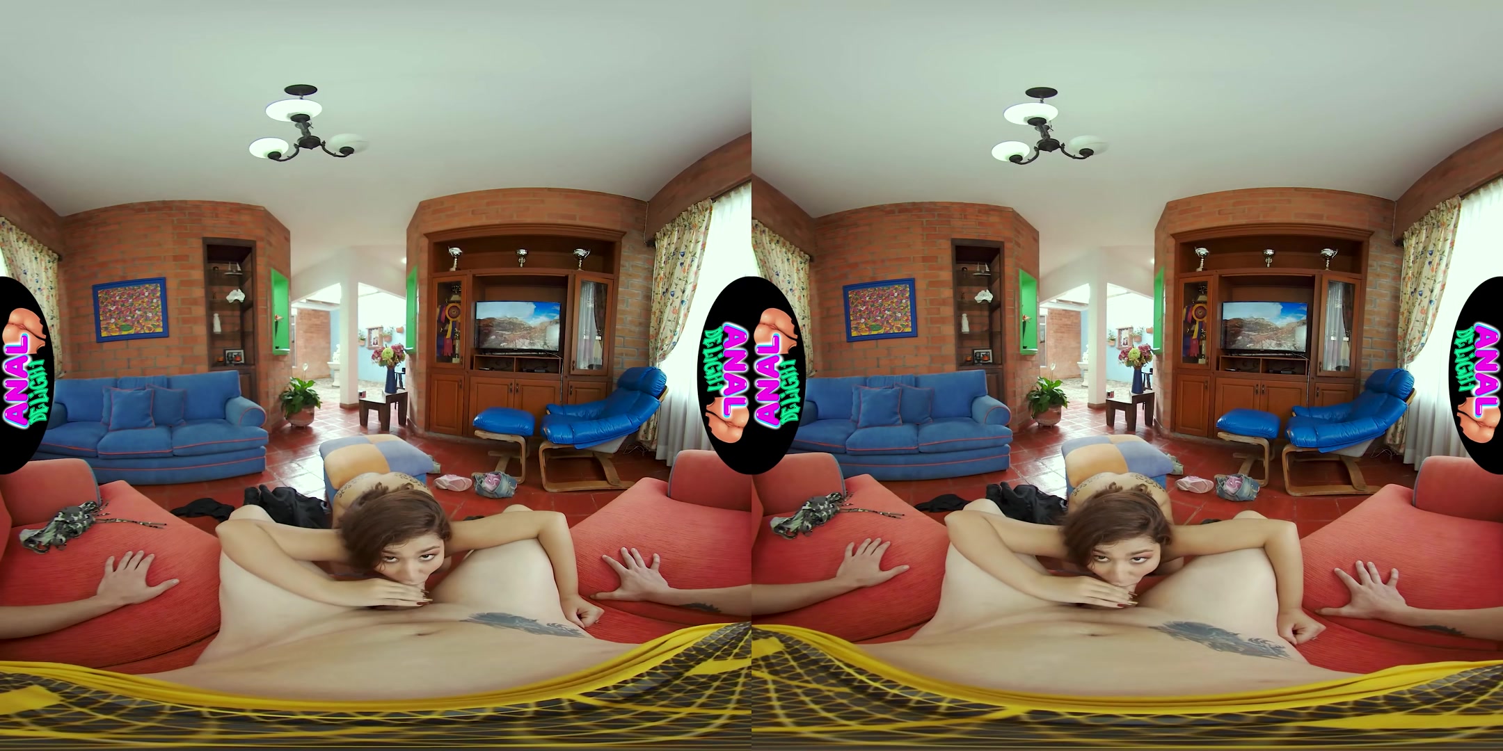 Vaginal Sex - AnalDelight
