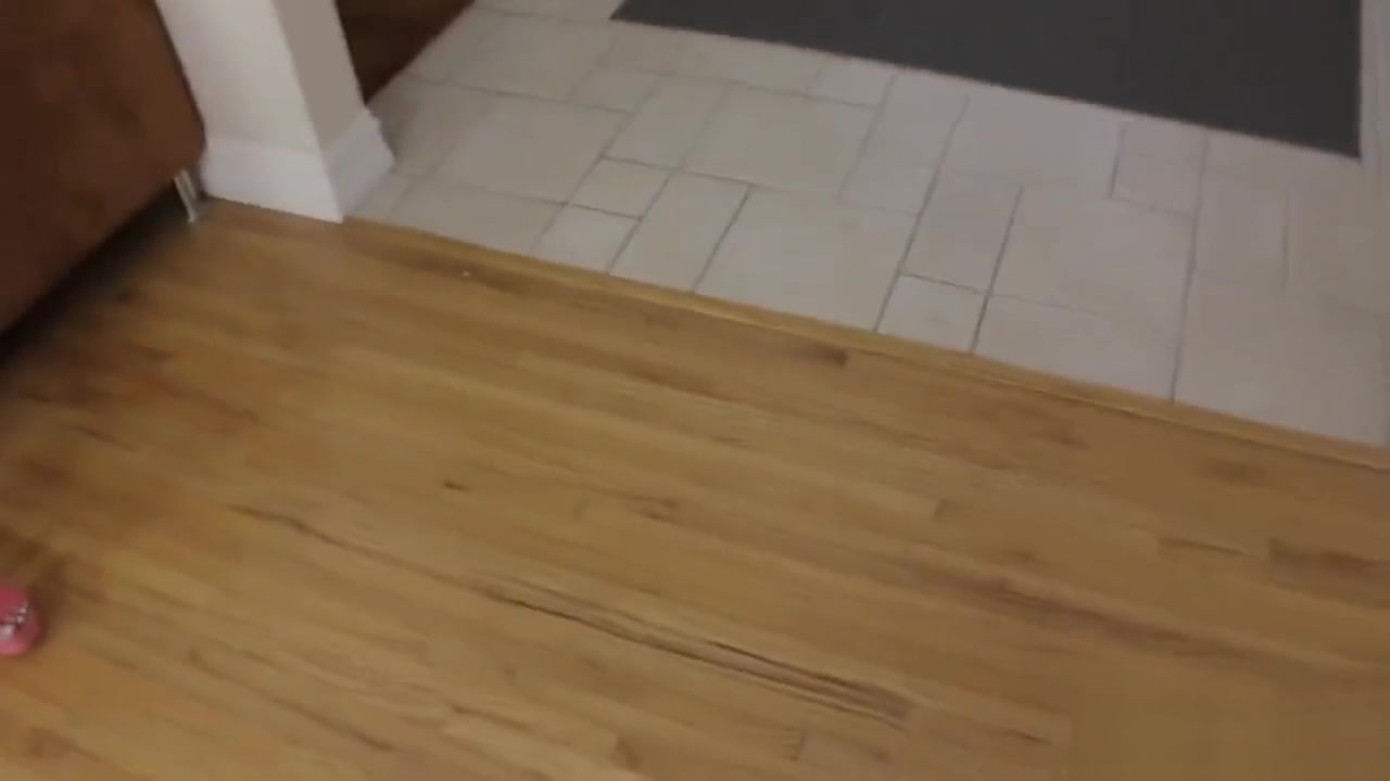 A slutty petite blonde stepsis blows briothers big cock and gets it in her wet cunt