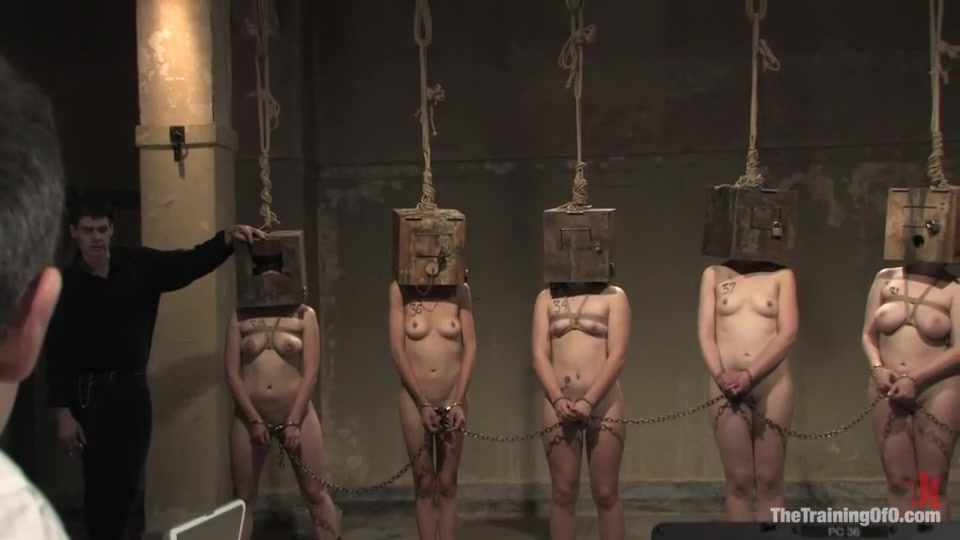 The Auditons Three