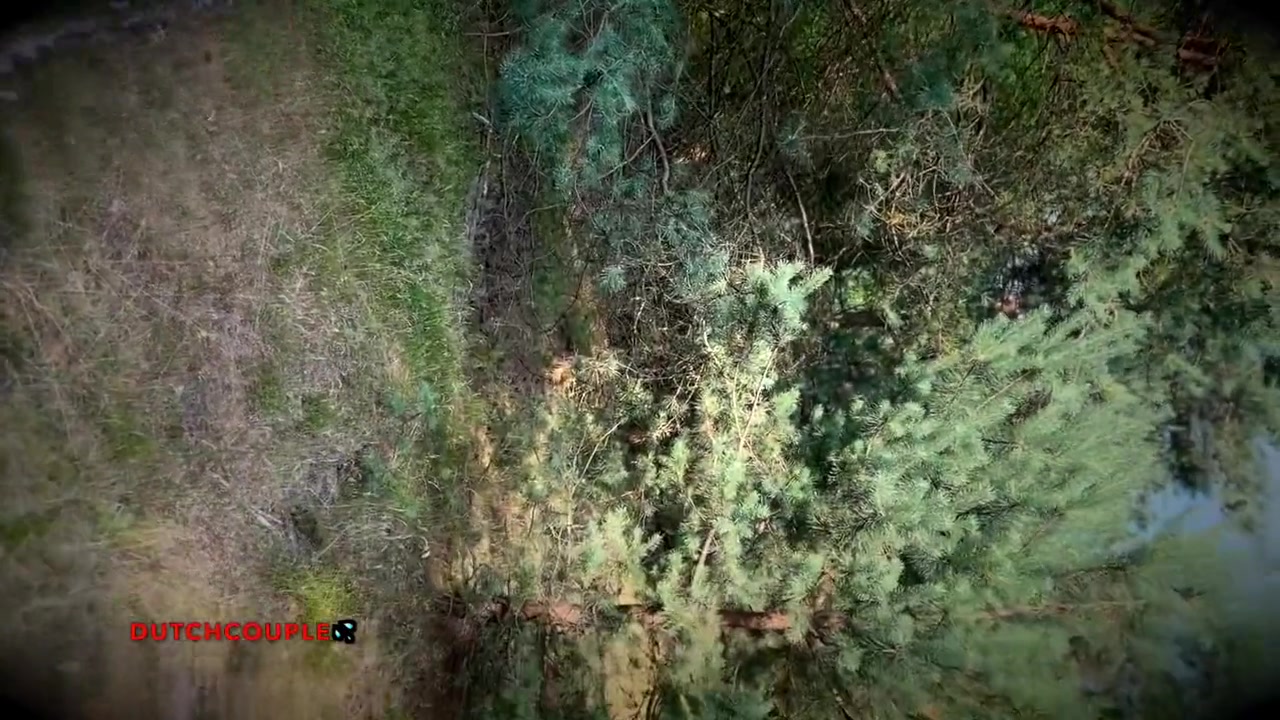 Dutch Milf Anal Fuck In Woods Outdoor Fucking With Cumslut