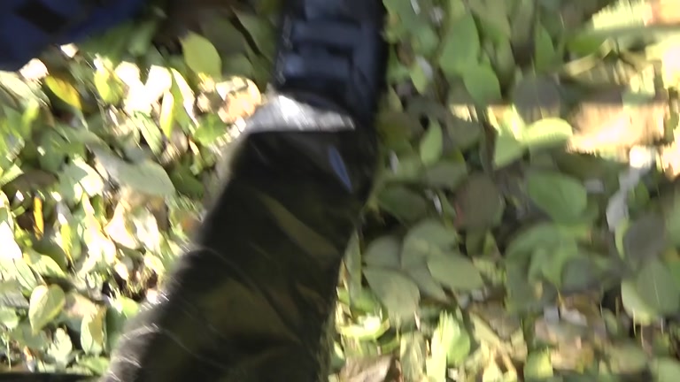 Outdoor blowjob and cum eating