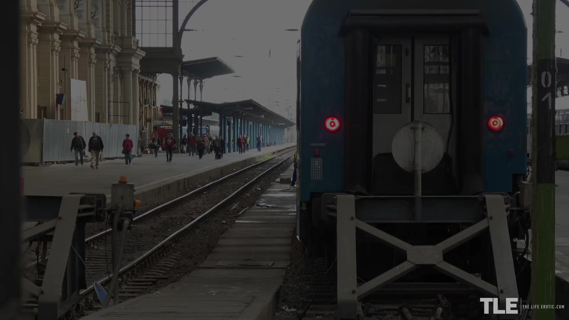 Undercover - Train - Lilu - TheLifeErotic