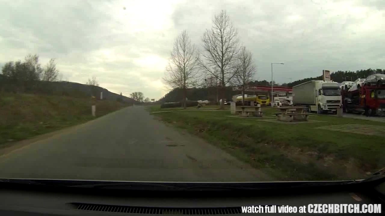 Czech MILF Hooker Fucked in Car