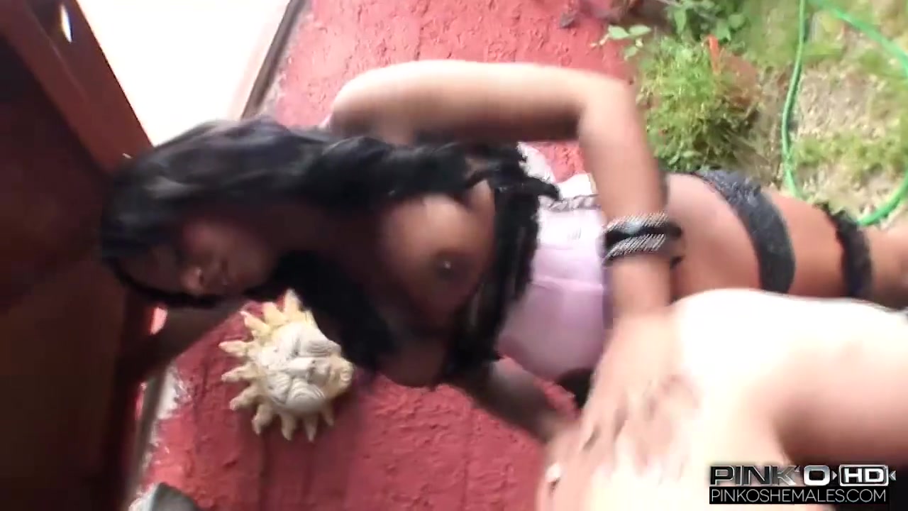 Hot Shemale Threesome