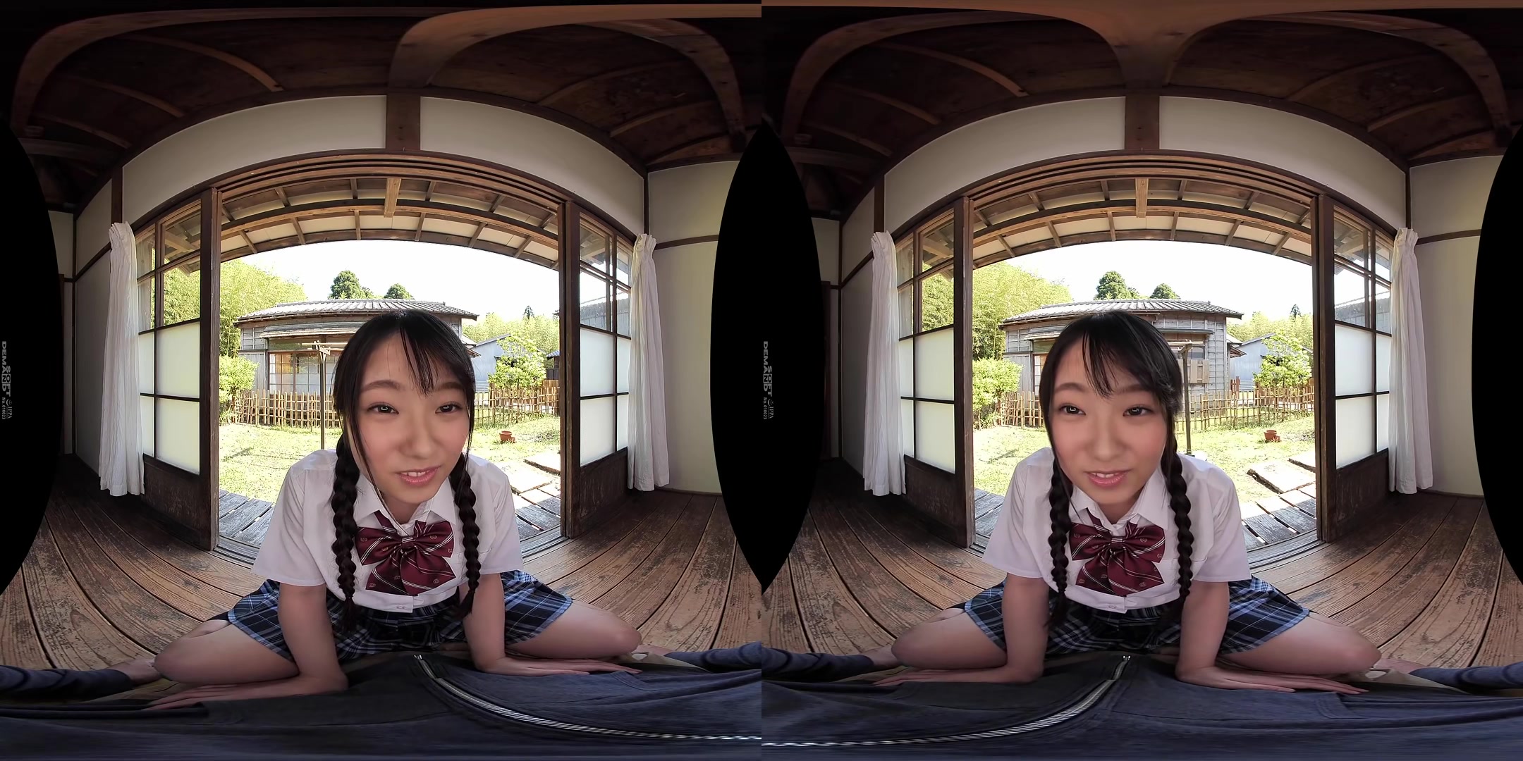 Face Licking VR - SodCreate