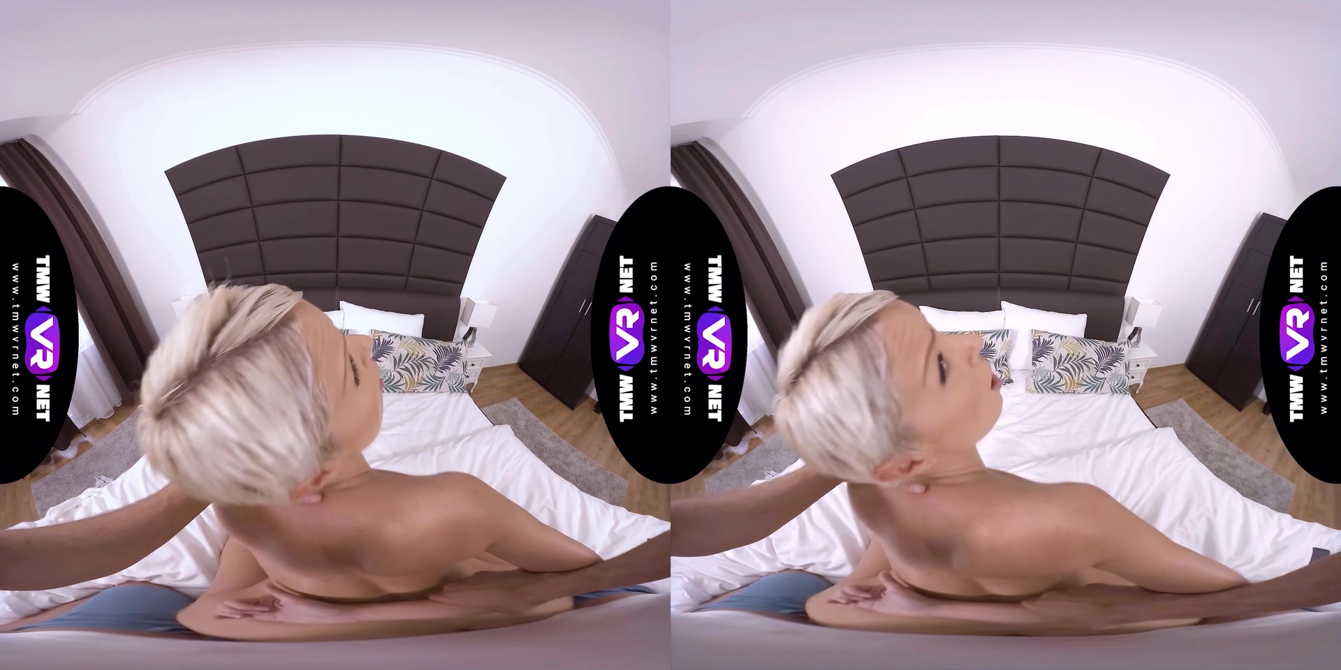 When work and pleasure team up - TmwVRnet