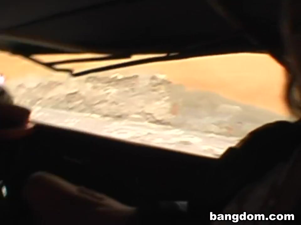 Public Car Fucking Tourist Attraction