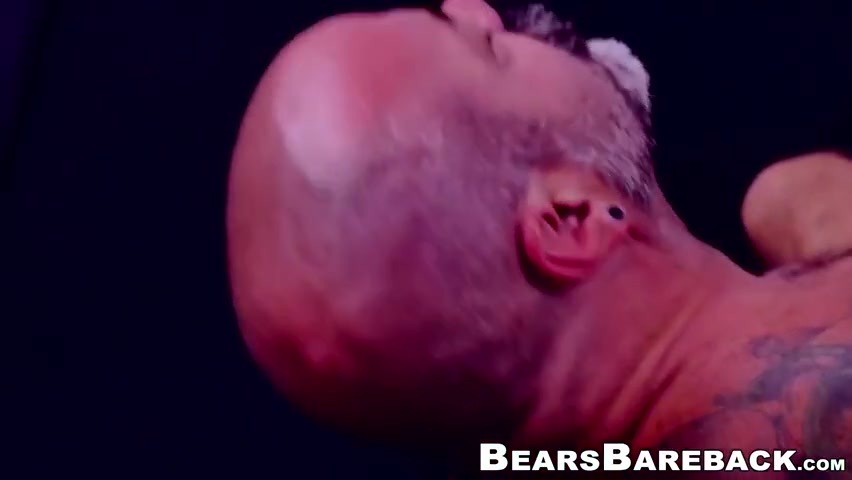 Papa Bear Destroyed By His Favorite Cub Bareback Style - Scott Finn