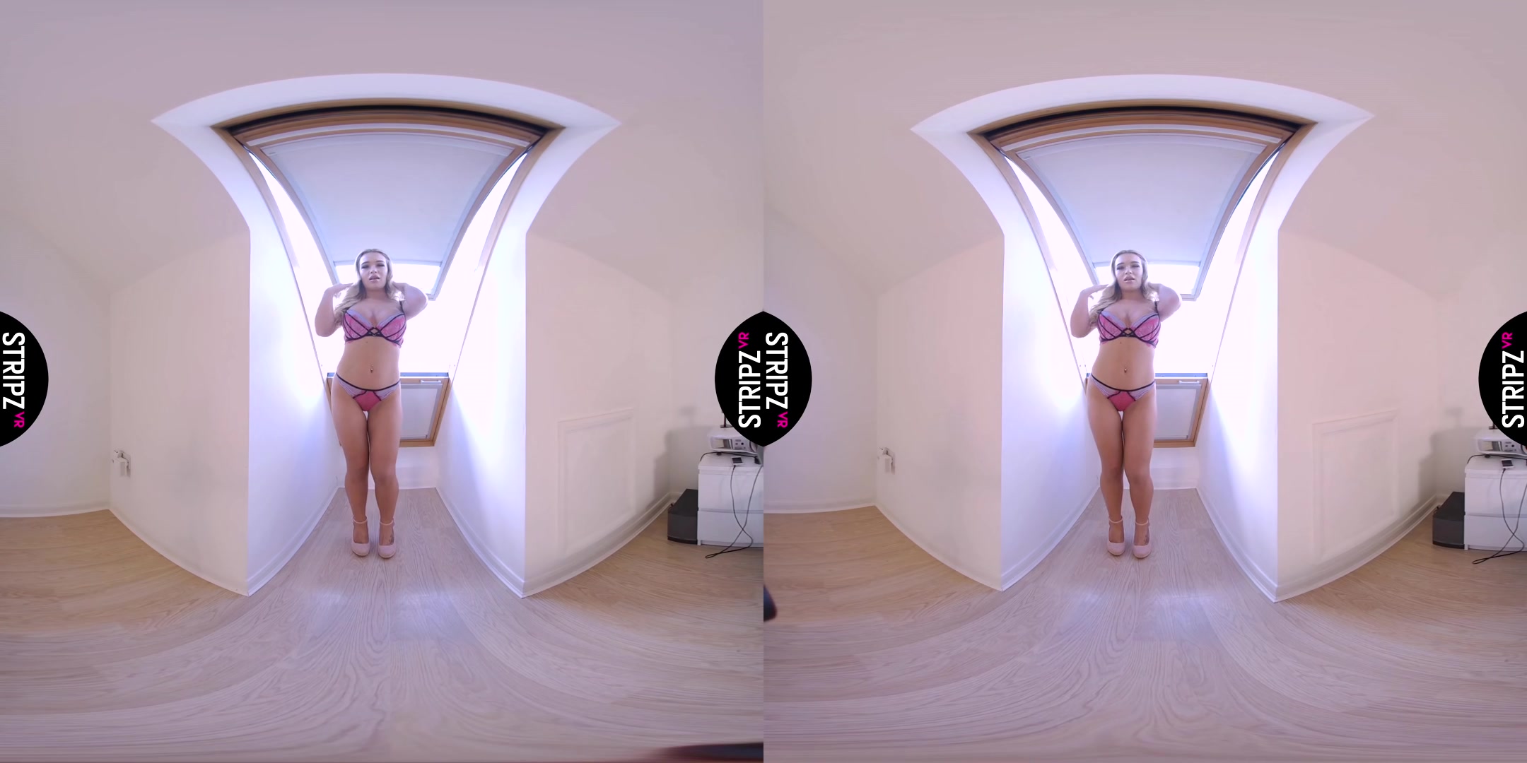 Room With a View - StripzVR