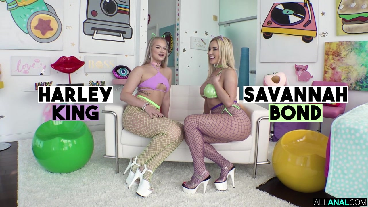 Savannah Harley’s Naughty Afternoon