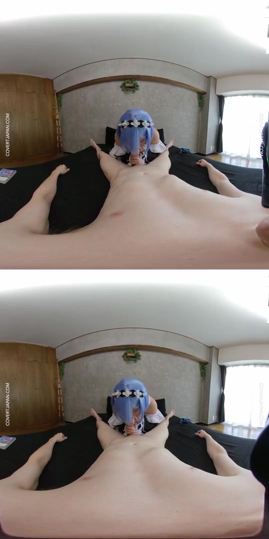Japanese Anime Girlfriend Rem Snatches Your Attention