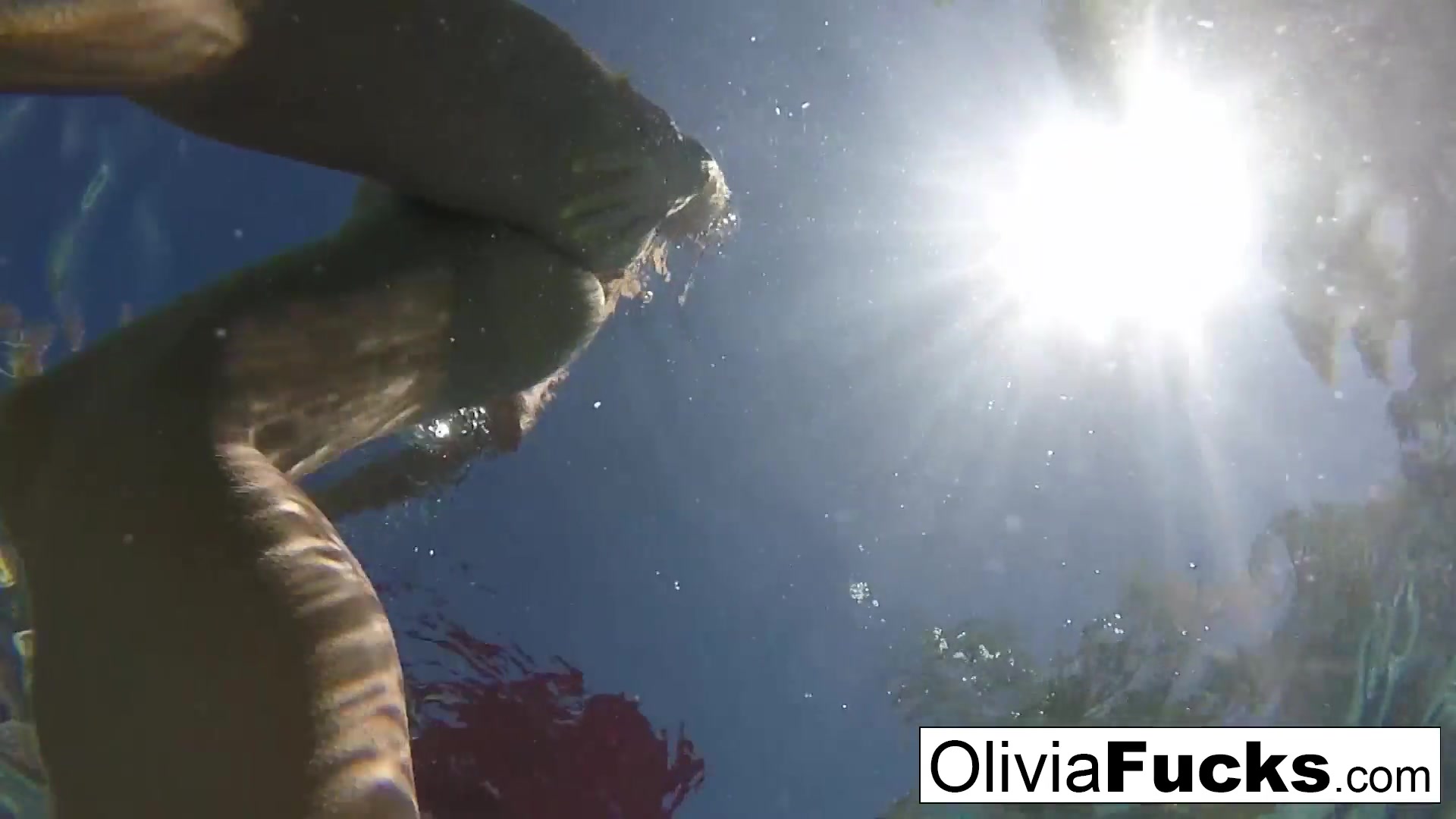 Olivia Austin in Olivia Austin Has Some Summer Fun In The Pool - OliviaAustin