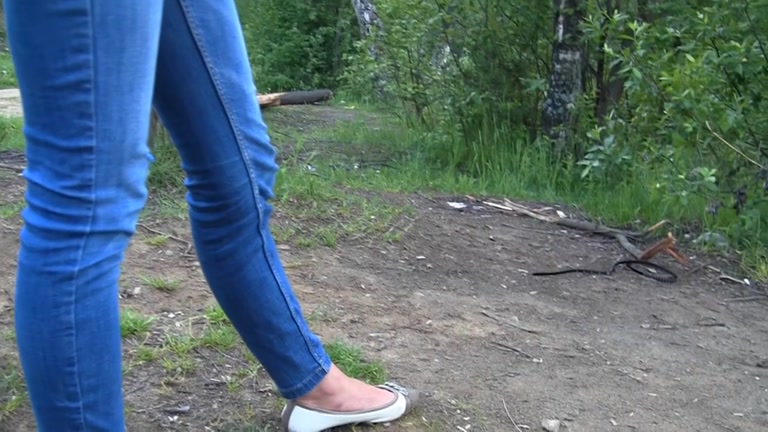 Arranged a pair hard sex after a picnic