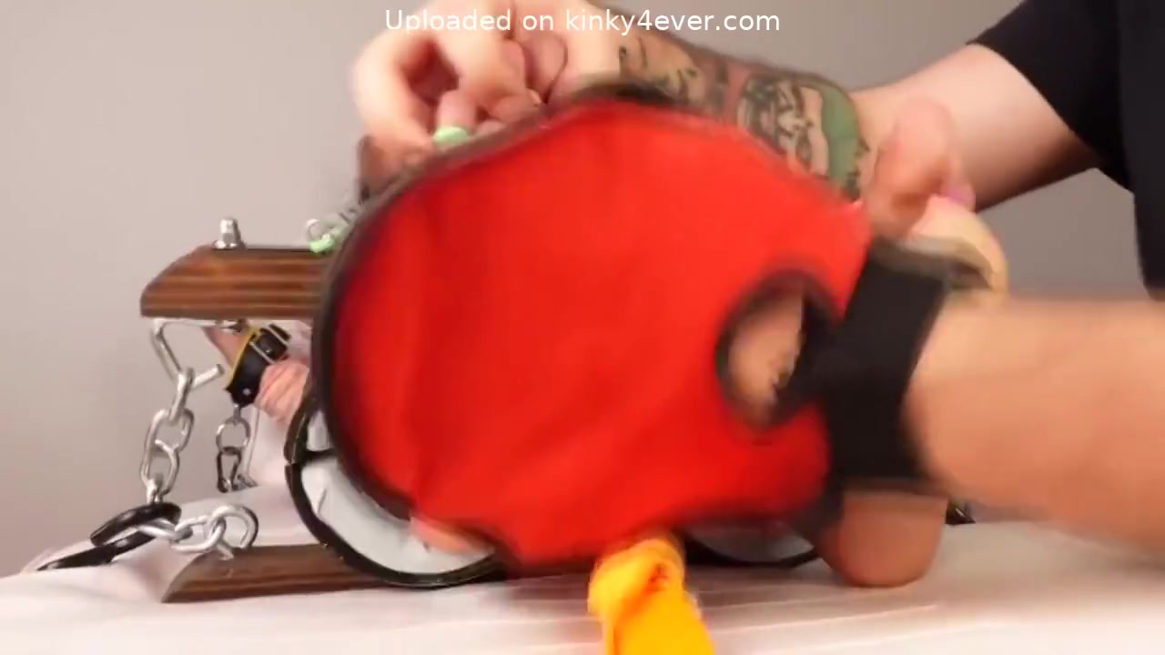 Thetickleroom Alexa