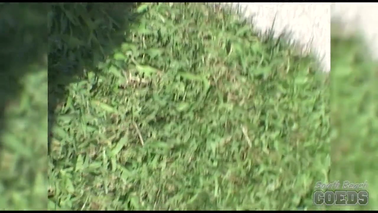 Video And Photos From The Begining Of The July 2004 Show - SouthBeachCoeds