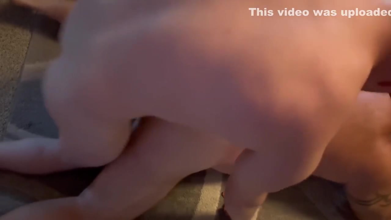 Stepdaddy Bear Bottom For Boy