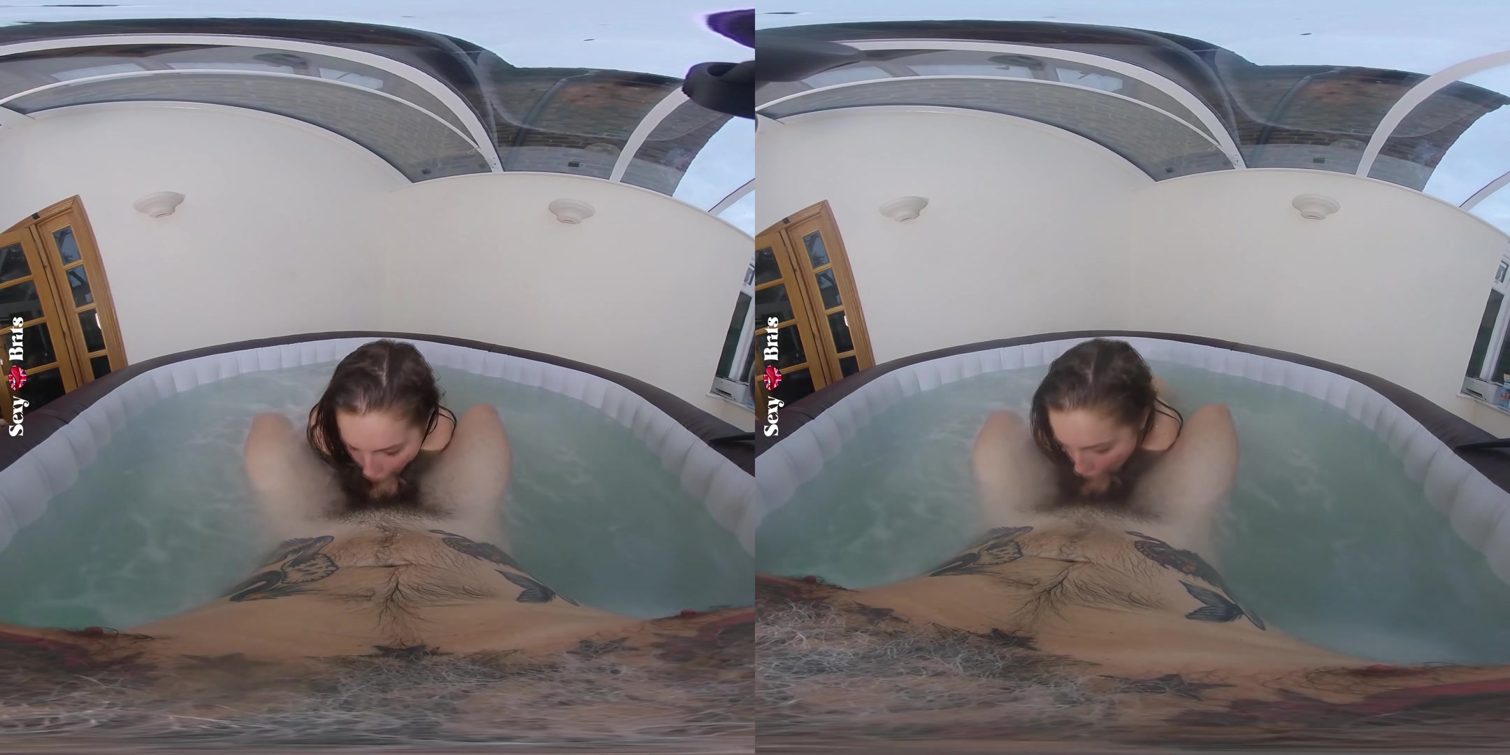 How To Bathe Your Aussie III - perVRt