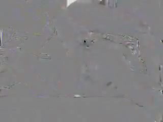 Kinky tranny over black cock
