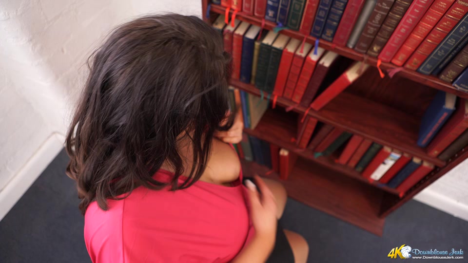 Anna Lynn in Filthy Librarian - DownblouseJerk
