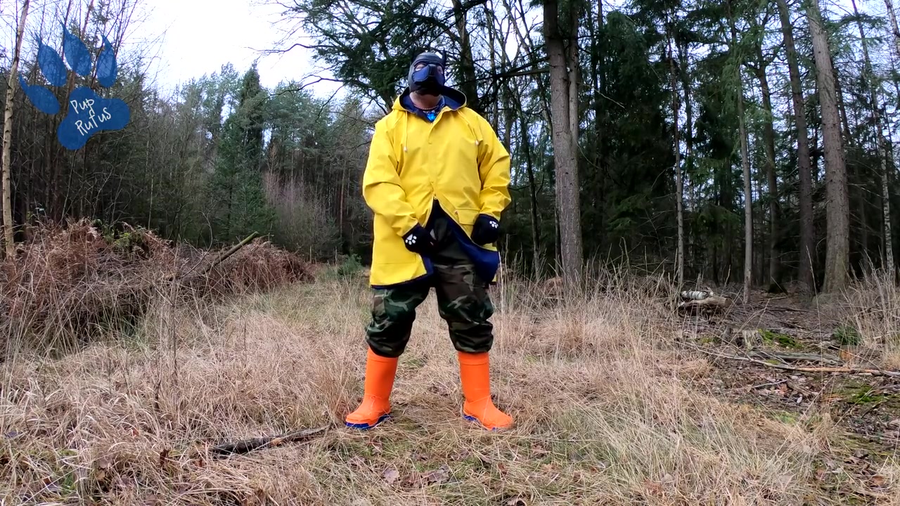 Raingear Pup Wanking Outdoors During Sunday Walkies nearly Got Caught