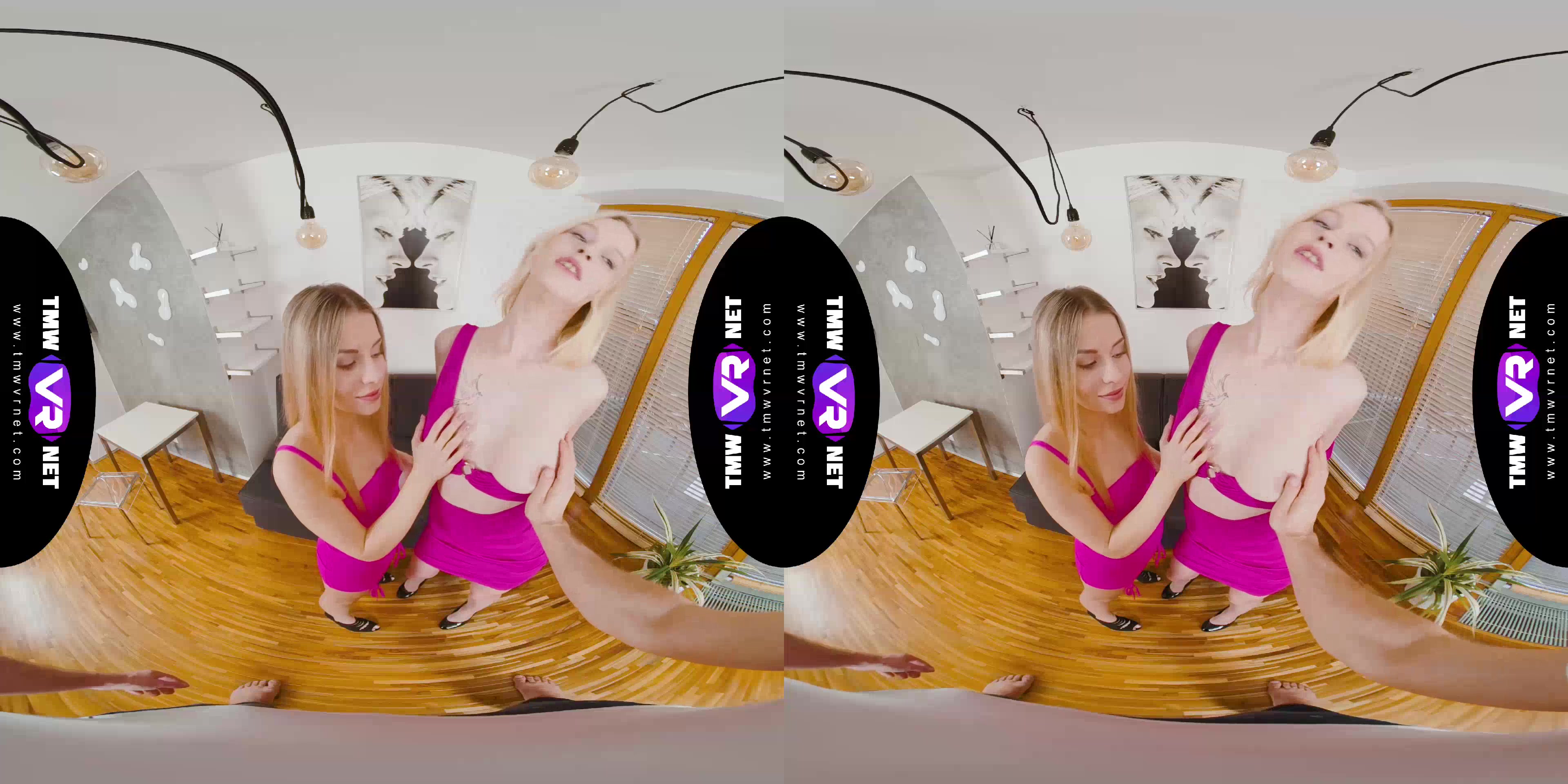 Desired orgy as a gift - TmwVRnet