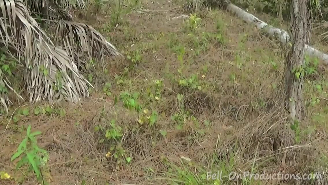 Milf Gets Facial In The Woods In Step moms 21st Birthday Surprise 5 Min - Madisin Lee