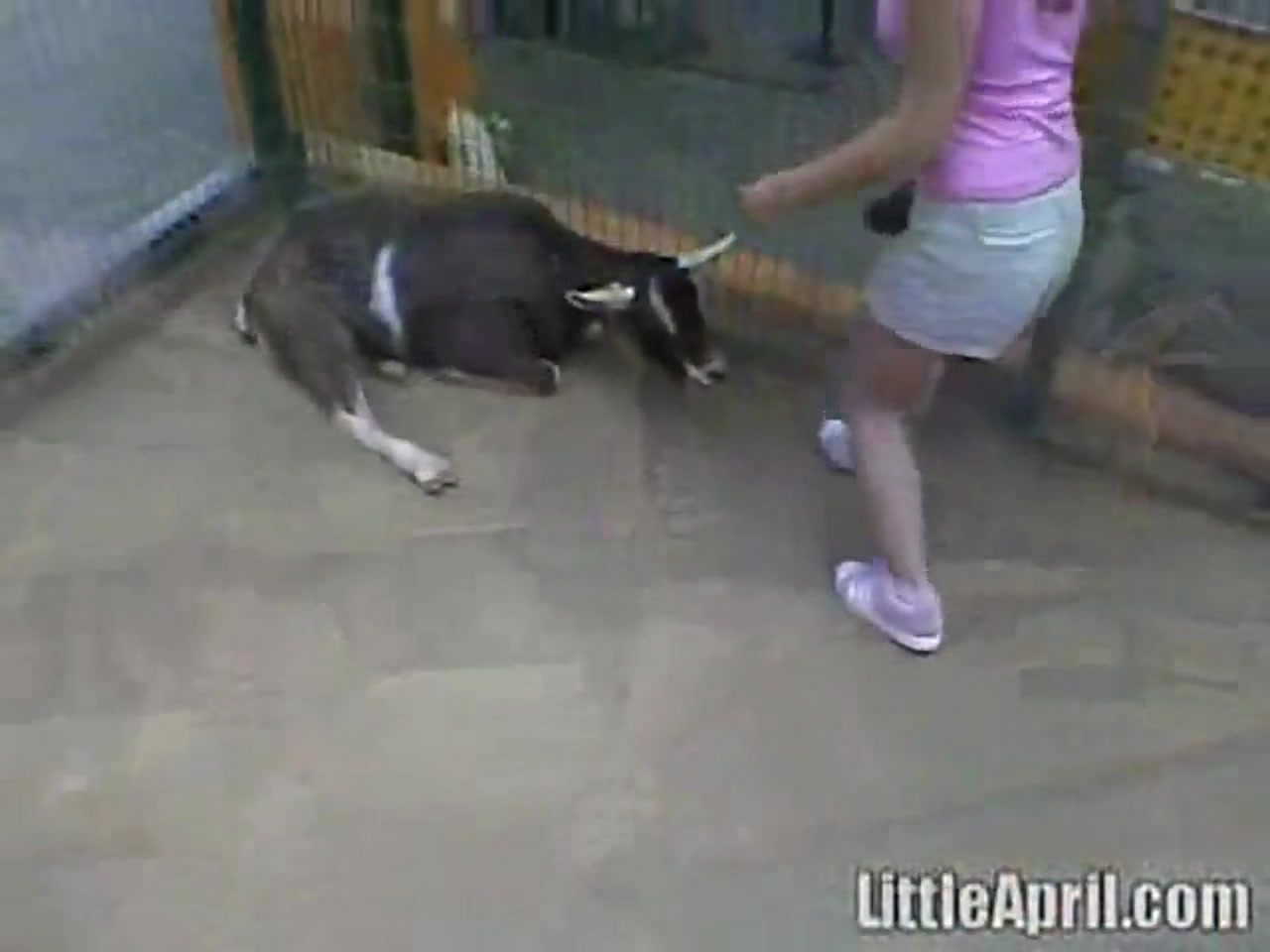 teen 18+ does some solo heavy petting