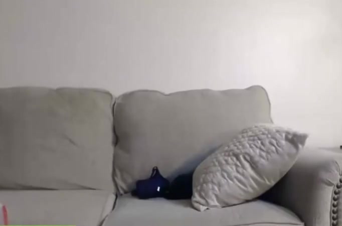 Mindblowing desi indian college girl sucks her white boyfriend s