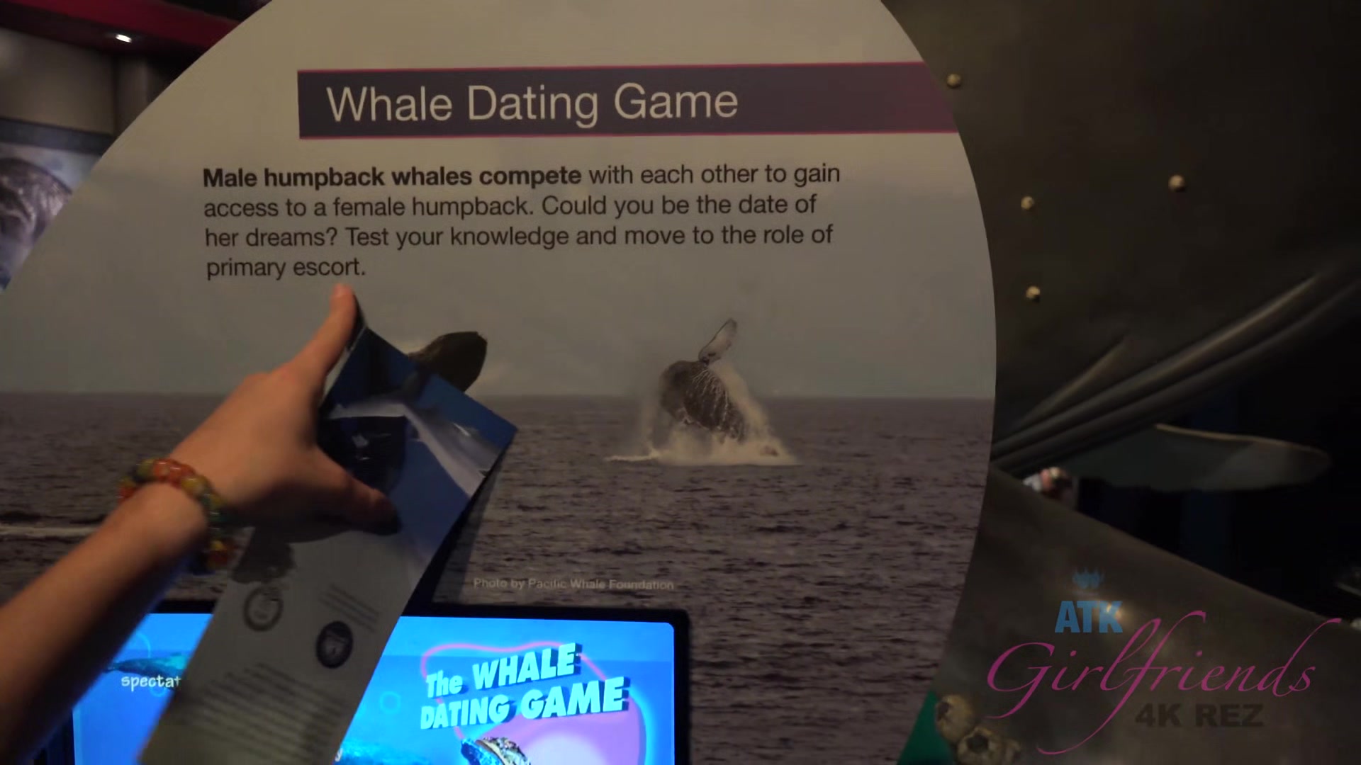 Virtual Vacation In Hawaii With Haley Reed Part 9